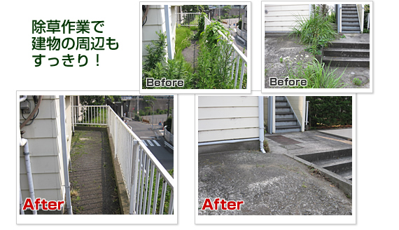 除草作業で建物の周辺もすっきり!