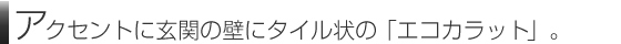 アクセントに玄関の壁にタイル状のエコカラット