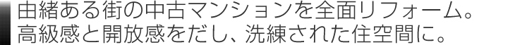 高級感と開放感を出し、洗練された住空間に