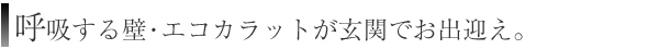 呼吸する壁・エコカラットが玄関でお出迎え。